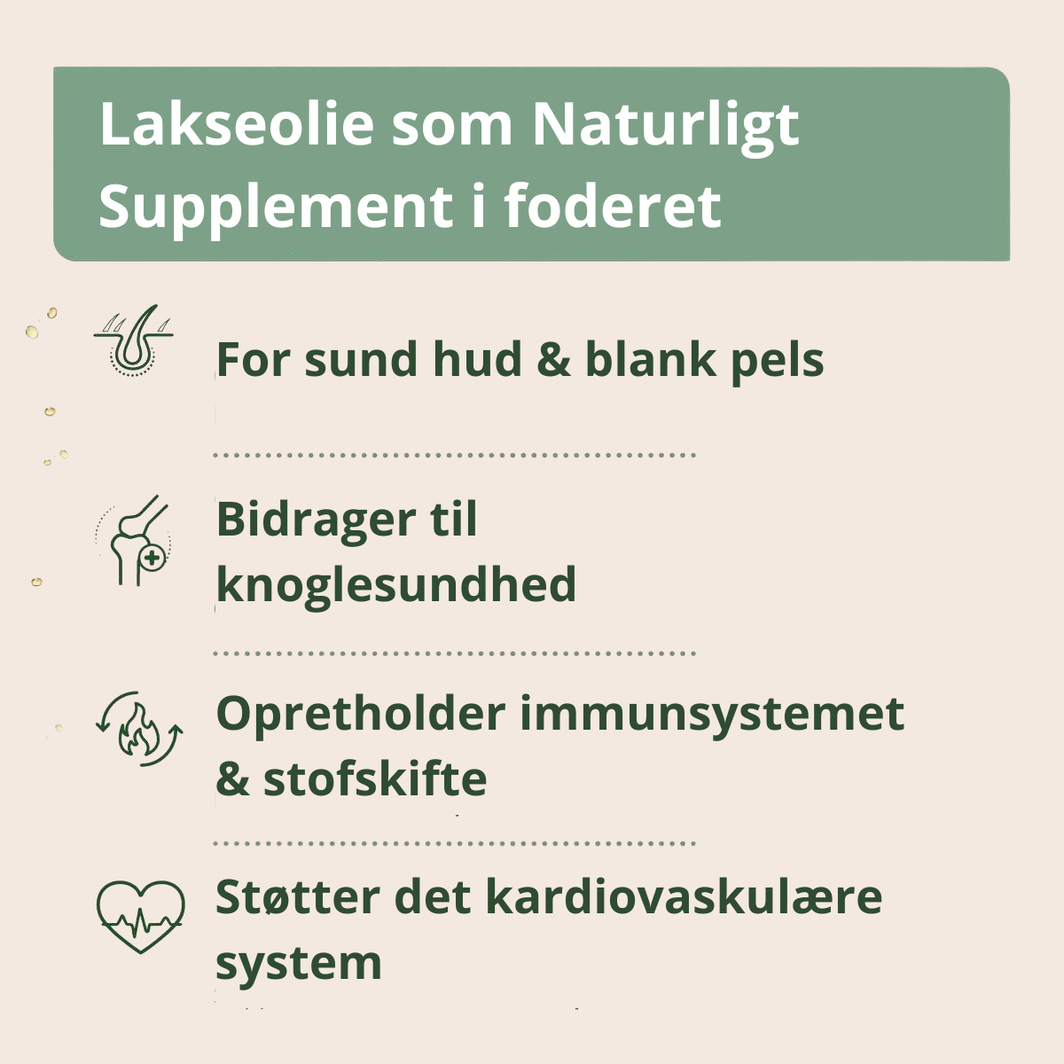 AniForte Lakseolie 1L
