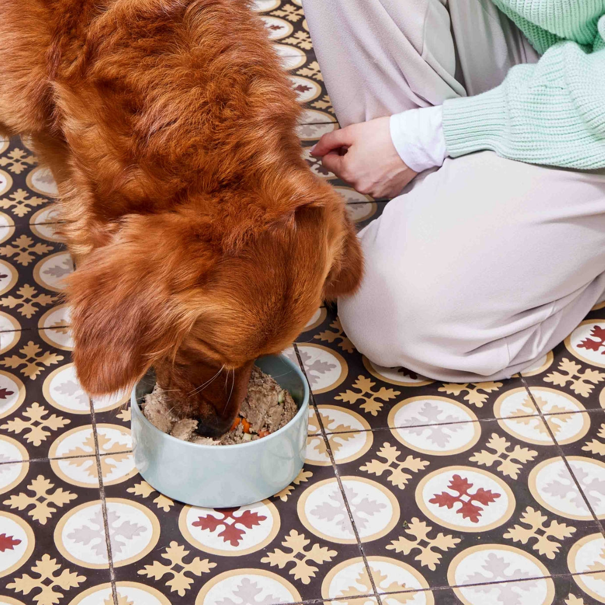 Nutriment Frisk Menu Hest med Spinat & Ærter‚ frost 400 g