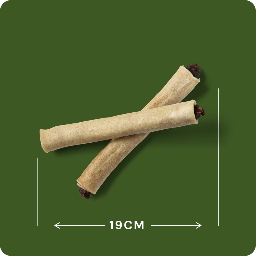 Nutriment Elg Bullet