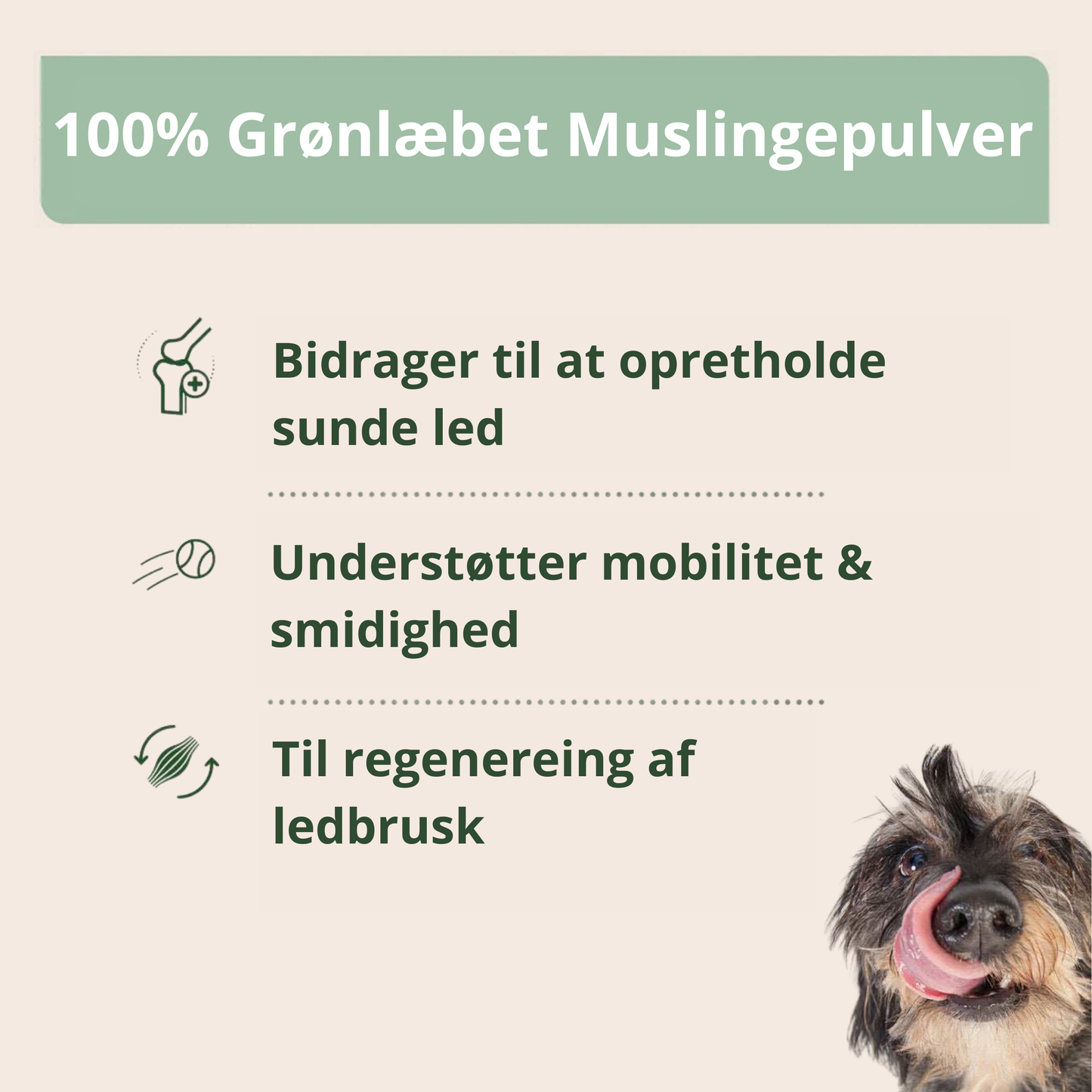AniForte Grønlæbet Muslingepulver 250g