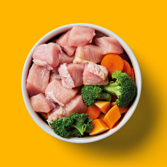 Bowl of raw turkey cubes, broccoli, kale, and carrot slices with a splash of Scottish Cold Water Salmon Oil on bright yellow.