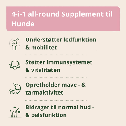 AniForte 4-i-1 Komplet Hund 250g