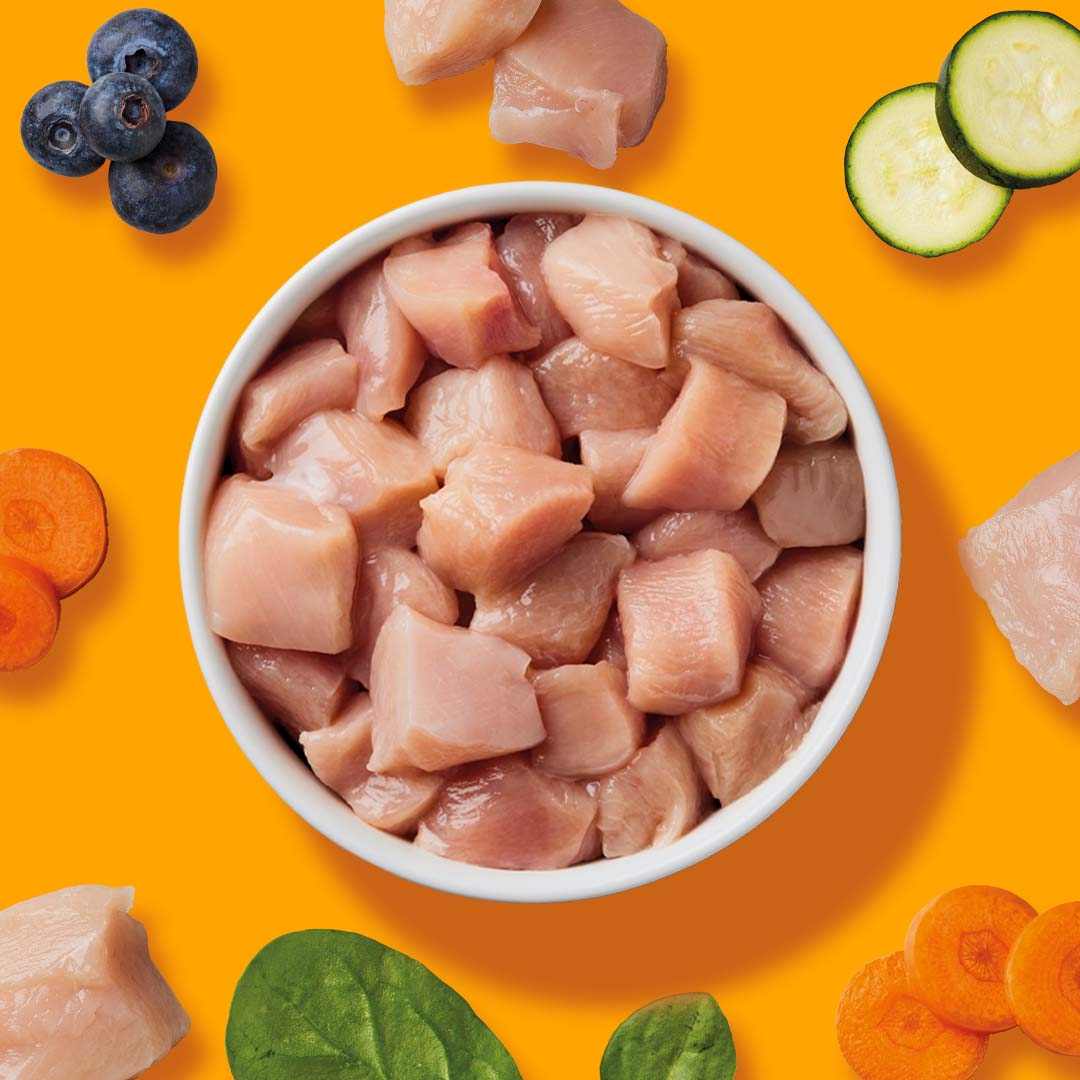 Haustierkost Kylling All in One Nuggets, frost 750g