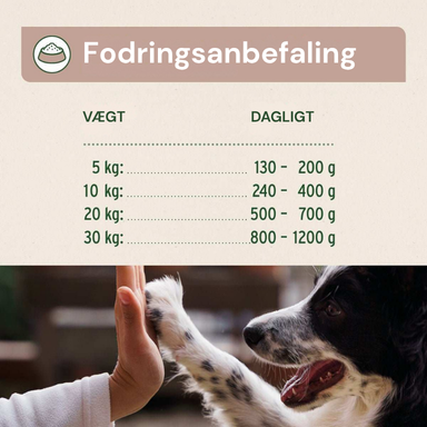 Fodringsanbefaling til hund - daglig mængde efter vægt
