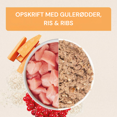 Nutriment opskrift med gulerødder, ris og ribs