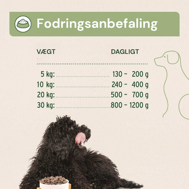 Fodringsanbefaling til hund - daglig mængde efter vægt