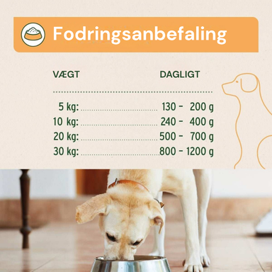 Fodringsanbefaling til hund - daglig mængde efter vægt