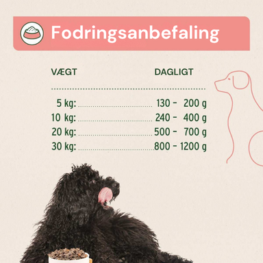 Fodringsanbefaling til hund - daglig mængde efter vægt