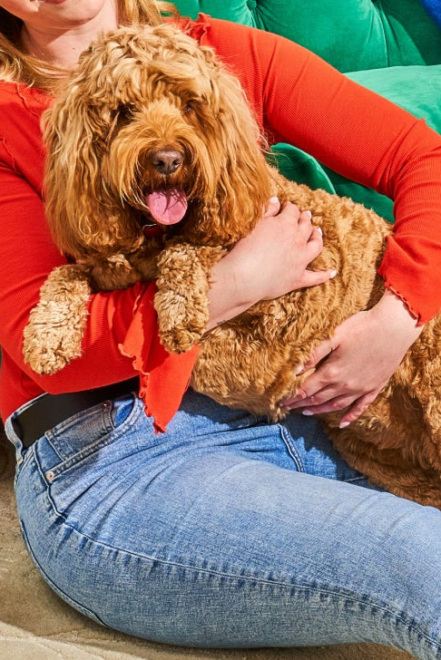 Person in an orange top holding a fluffy brown dog on their lap, sitting on the floor by a green couch.