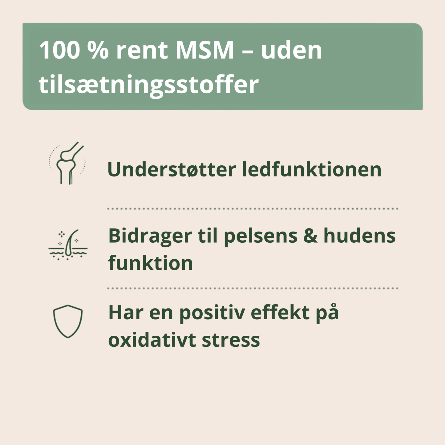 AniForte MSM Pulver 300g