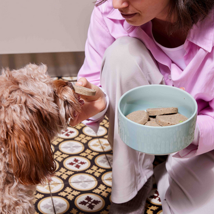 Nutriment Frisk Menu Medaljoner Lam med Græskar & Broccoli‚ frost 800 g
