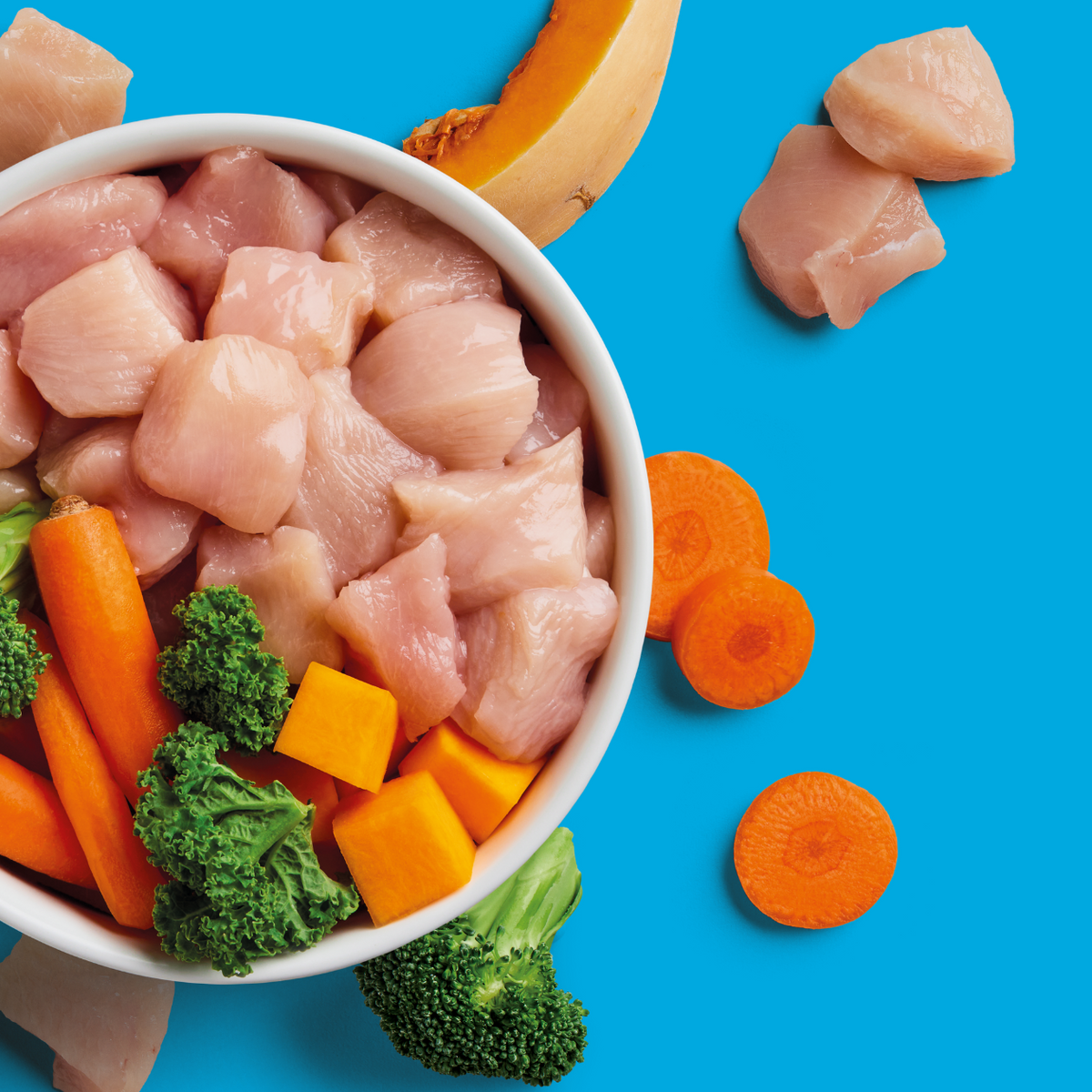 A bowl of raw chicken, carrots, broccoli, and squash on a blue background, with extra pieces around.