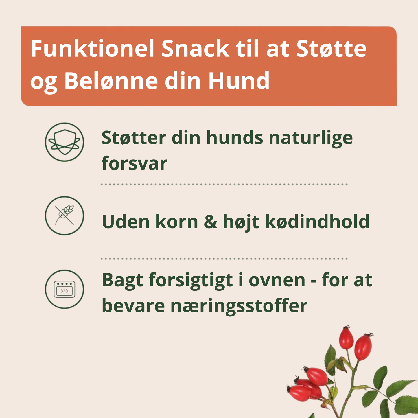 AniForte Immun-Boost Snack 300g